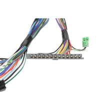 Charger l'image dans la galerie, DS-933 Standard Ignition Cruise Control Switch Standard Ignition Canada