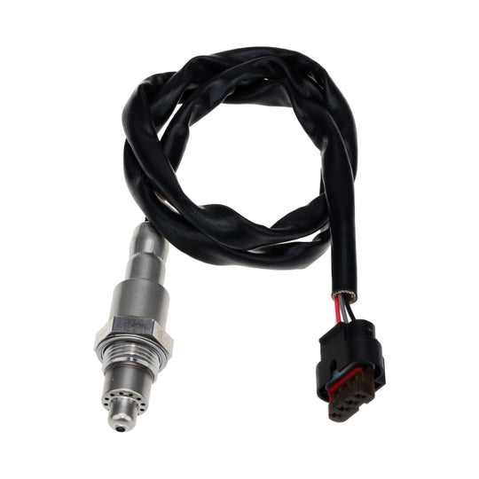 O21126 Oxygen Sensor KTVC