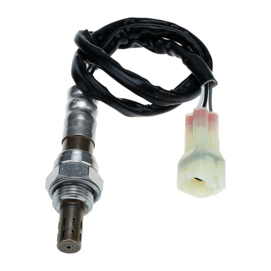 O21154 Oxygen Sensor KTVC