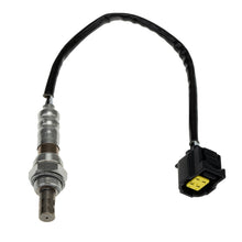 Charger l'image dans la galerie, O21164 Oxygen Sensor KTVC