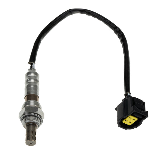 O21164 Oxygen Sensor KTVC