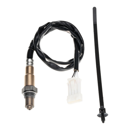 O21172 Oxygen Sensor KTVC