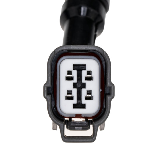 O21174 Oxygen Sensor KTVC