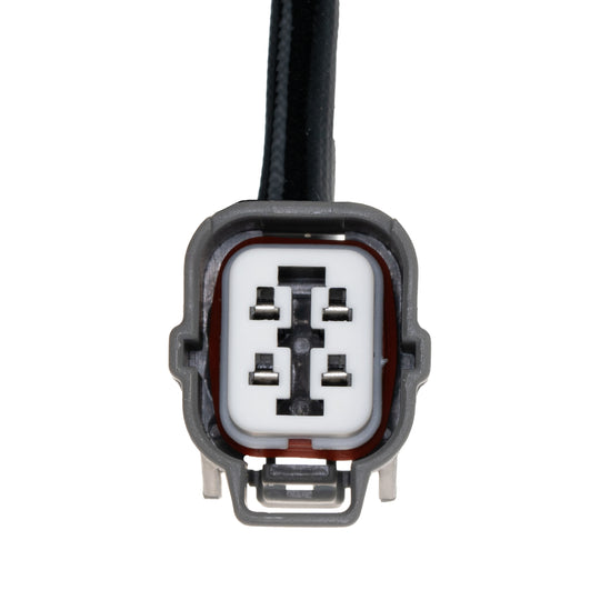 O21200 Oxygen Sensor KTVC
