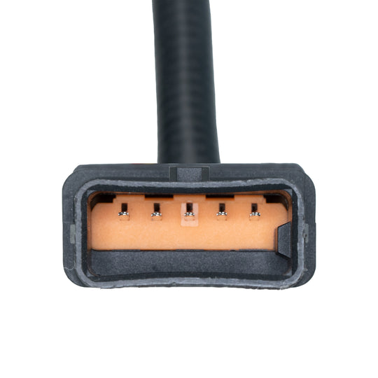 O21283 Oxygen Sensor KTVC