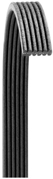 6080557 Serpentine Belt Dayco Canada