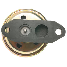 Load image into Gallery viewer, EGV245 Standard Ignition Exhaust Gas Recirculation (EGR) Valve Standard Ignition Canada