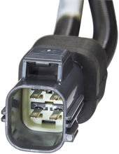 Charger l'image dans la galerie, EM1307DFHS Spectra Premium Diesel Exhaust Fluid (DEF) Hose Spectra Premium Canada