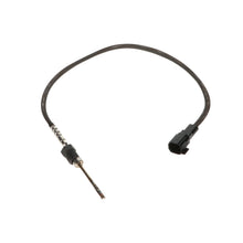Load image into Gallery viewer, ETS241 Standard Ignition Exhaust Gas Temperature (EGT) Sensor Standard Ignition Canada