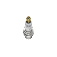 Load image into Gallery viewer, F5DP0R OE Fine Wire Double Platinum Spark Plug Bosch Canada