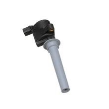 Load image into Gallery viewer, FD-502 Blue Streak Ignition Coil Blue Streak Canada