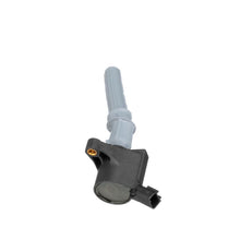 Load image into Gallery viewer, FD-503 Blue Streak Ignition Coil Blue Streak Canada