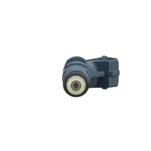 Load image into Gallery viewer, FJ300 Standard Ignition Fuel Injector Standard Ignition Canada