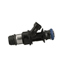 Load image into Gallery viewer, FJ317 Standard Ignition Fuel Injector Standard Ignition Canada