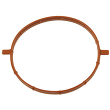 Load image into Gallery viewer, FJG139 Standard Ignition Fuel Injection Throttle Body Mounting Gasket Standard Ignition Canada
