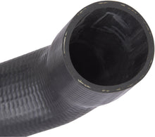 Load image into Gallery viewer, FNH065 Spectra Premium Fuel Filler Hose Spectra Premium Canada