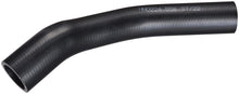 Load image into Gallery viewer, FNH271 Spectra Premium Fuel Filler Hose Spectra Premium Canada