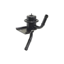 Charger l'image dans la galerie, FPD10 Standard Ignition Fuel Injection Pressure Damper Standard Ignition Canada