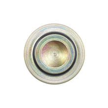 Load image into Gallery viewer, FPD16 Standard Ignition Fuel Injection Pressure Damper Standard Ignition Canada