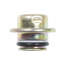Load image into Gallery viewer, FPD16 Standard Ignition Fuel Injection Pressure Damper Standard Ignition Canada
