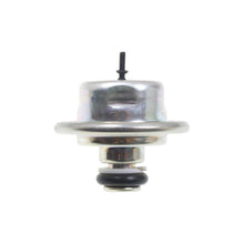 Load image into Gallery viewer, FPD23 Standard Import Fuel Injection Pressure Damper Standard Import Canada