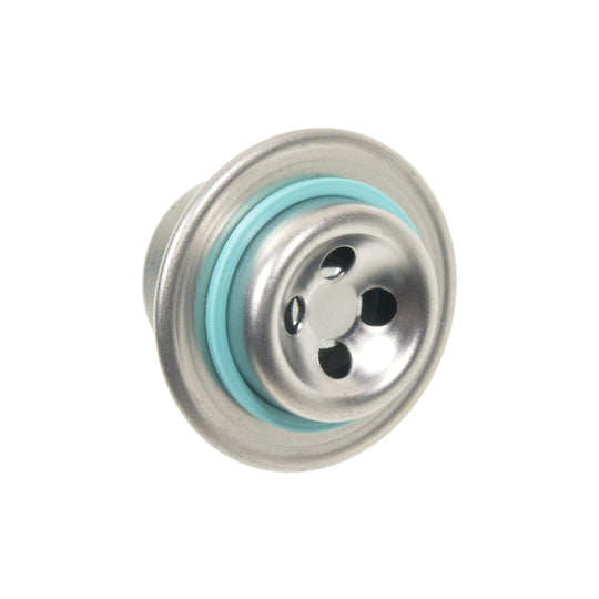 FPD41 Standard Ignition Fuel Injection Pressure Damper Standard Ignition Canada