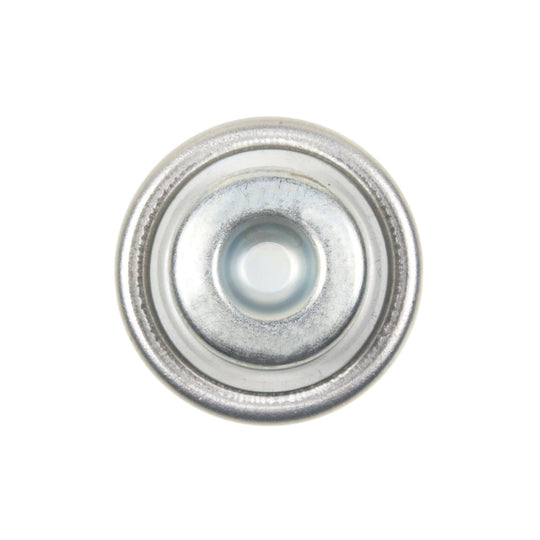 FPD41 Standard Ignition Fuel Injection Pressure Damper Standard Ignition Canada