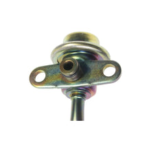 Load image into Gallery viewer, FPD44 Standard Ignition Fuel Injection Pressure Damper Standard Ignition Canada