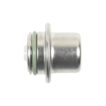Load image into Gallery viewer, FPD46 Standard Ignition Fuel Injection Pressure Damper Standard Ignition Canada