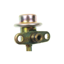 Load image into Gallery viewer, FPD51 Standard Ignition Fuel Injection Pressure Damper Standard Ignition Canada