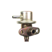 Load image into Gallery viewer, FPD52 Standard Ignition Fuel Injection Pressure Damper Standard Ignition Canada