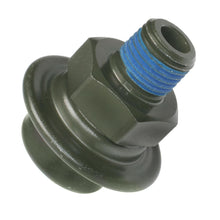 Load image into Gallery viewer, FPD60 Standard Ignition Fuel Injection Pressure Damper Standard Ignition Canada