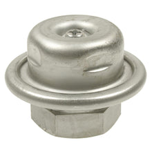 Load image into Gallery viewer, FPD75 Standard Ignition Fuel Injection Pressure Damper Standard Ignition Canada