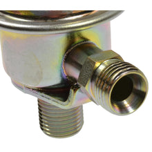 Load image into Gallery viewer, FPD78 Standard Ignition Fuel Injection Pressure Damper Standard Ignition Canada
