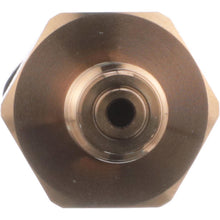 Load image into Gallery viewer, FPS139 Standard Ignition Fuel Pressure Sensor Standard Ignition Canada