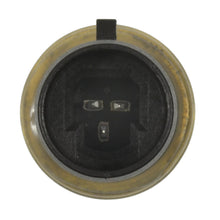 Load image into Gallery viewer, FPS39 Fuel Pressure Sensor Standard Ignition Canada