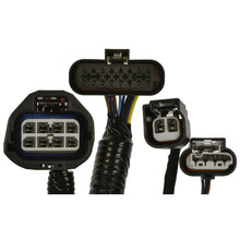 Load image into Gallery viewer, FWH102 Standard Ignition Diesel Exhaust Fluid (DEF) Pump Wiring Harness Standard Ignition Canada