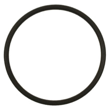 Load image into Gallery viewer, GDR204 Standard Ignition Fuel Pump O-Ring Standard Ignition Canada