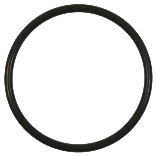 GDR401 Standard Ignition Fuel Pump O-Ring Standard Ignition Canada