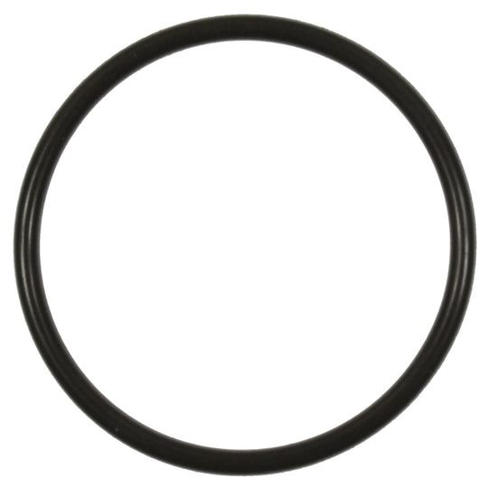 GDR403 Standard Ignition Fuel Pump O-Ring Standard Ignition Canada
