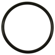 Load image into Gallery viewer, GDR501 Standard Ignition Fuel Pump O-Ring Standard Ignition Canada
