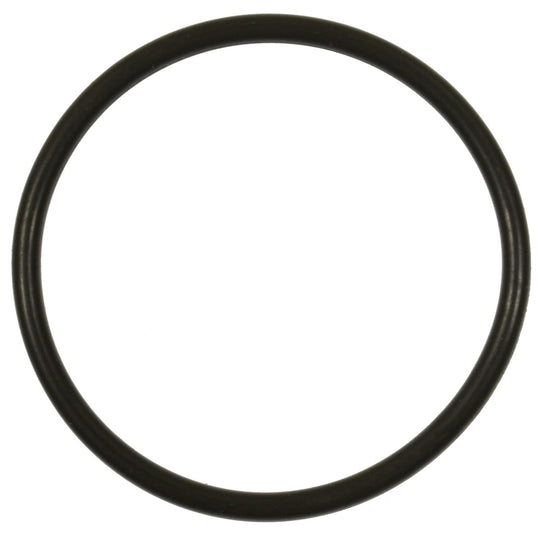 GDR502 Standard Ignition Fuel Pump O-Ring Standard Ignition Canada