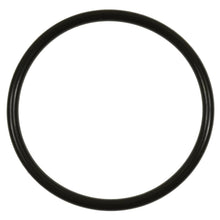 Load image into Gallery viewer, GDR503 Standard Ignition Fuel Pump O-Ring Standard Ignition Canada