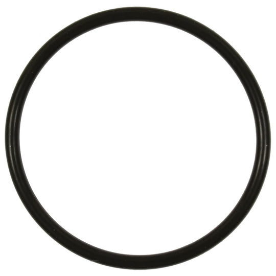 GDR505 Standard Ignition Fuel Pump O-Ring Standard Ignition Canada