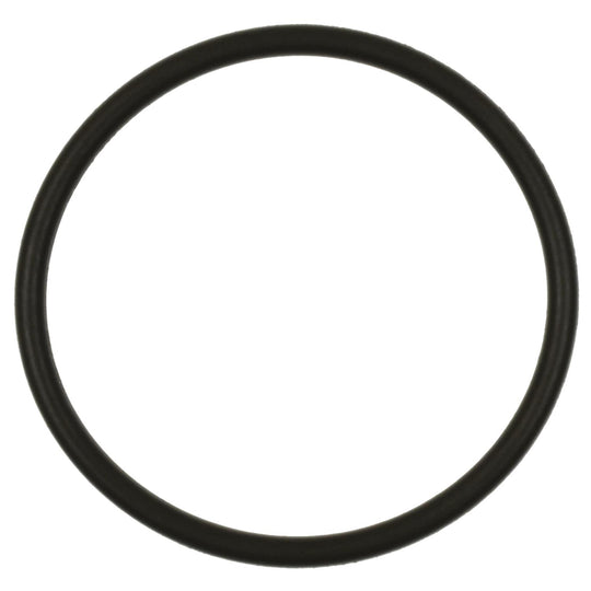 GDR506 Standard Import Fuel Pump O-Ring Standard Import Canada