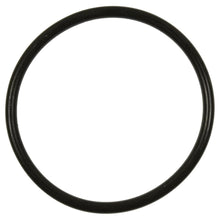 Load image into Gallery viewer, GDR507 Standard Ignition Fuel Pump O-Ring Standard Ignition Canada