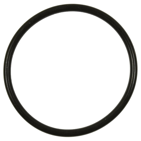 GDR507 Standard Ignition Fuel Pump O-Ring Standard Ignition Canada