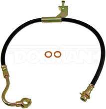 Load image into Gallery viewer, H38184 Brake Hydraulic Hose Dorman - First Stop Canada