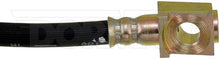 Load image into Gallery viewer, H38253 Brake Hydraulic Hose Dorman - First Stop Canada
