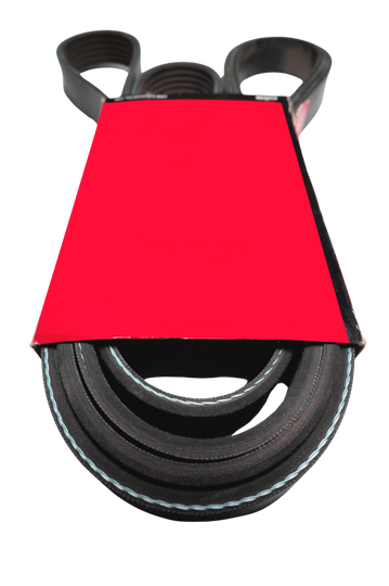 K060548 Tectonic Serpentine Belt